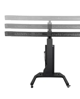 inSPORTline Sumatrin biela
