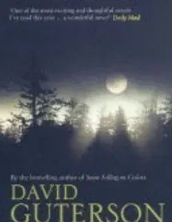Our Lady Of The Forest - David Guterson