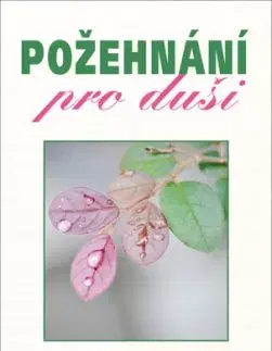 Požehnání pro duši - Bruno Ferrero