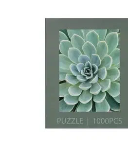 Puzzle »Sukkulente«