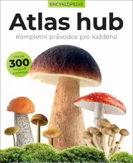 Atlas hub - Liz O’Keefe