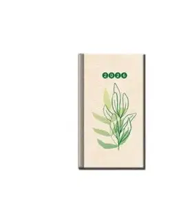 Mini diár FSC A6 2026 EKO