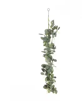 Dekoria Eukalyptová vetva 75 cm na zavesenie, 10 x 5 x 75 cm