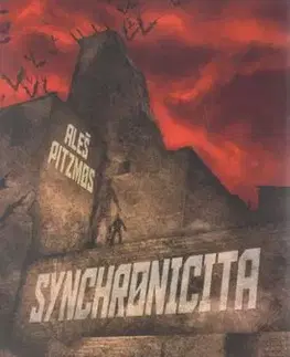 Synchronicita - Aleš Pitzmos