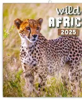 Poznámkový kalendár Divoká Afrika 2025, 30 × 30 cm