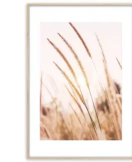 Artbox Digi 50x70 Ab078 Grasses I