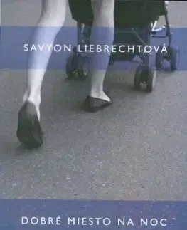 Dobré miesto na noc - Savyon Liebrechtová