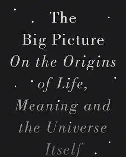 The Big Picture - Carroll Sean