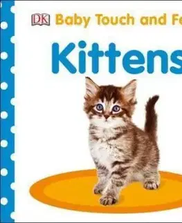 Baby Touch and Feel Kittens