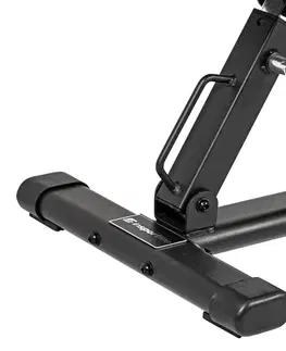 inSPORTline AB100