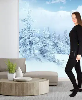 W-TEC Insupants Lady čierna - M
