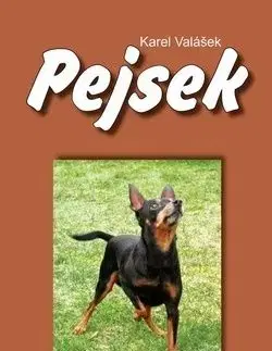 Pejsek - Karel Valášek