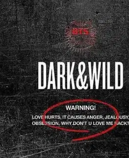 BTS - Dark & Wild CD - BTS