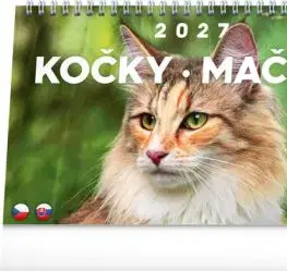 NOTIQUE Stolový kalendár Kočky – Mačky CZ/SK 2027, 23,1 x 14,5 cm