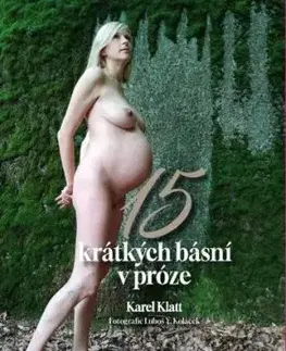 15 krátkých básní v próze - Karel Klatt