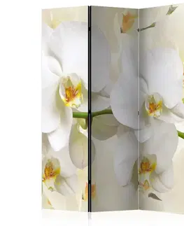 Paraván Orchid Branch Dekorhome