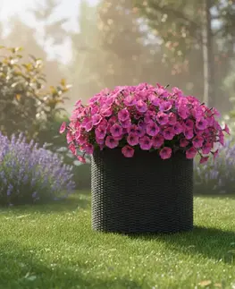 KETER Kvetináč BARREL M | grafit