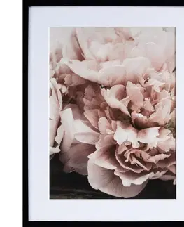 Dekoria Obraz Peony Sunset I 40x50cm, 40x50cm