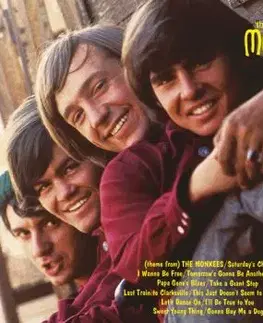 Monkees, The - The Monkees 2LP - The Monkees