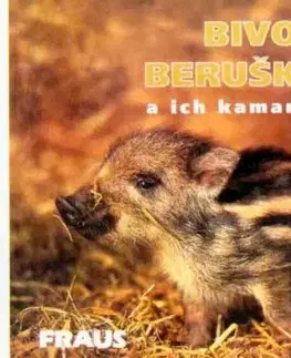 Bivoj, Beruška a ich kamaráti - Václav Chaloupek