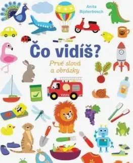 Čo vidíš? Prvé slová a obrázky - Anita Bijsterbosch