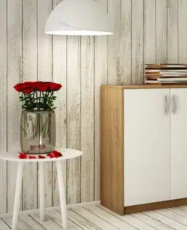  ANES komoda 3D2S, dub sonoma/biela
