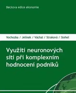 Využití neuronových sítí při komplexním hodnocení podniků