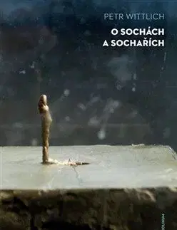 O sochách a sochařích - Petr Wittlich