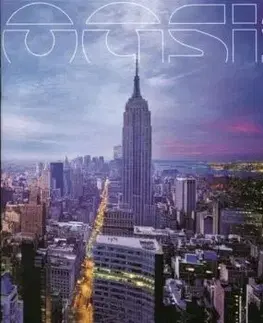 Oasis - Standing On The Shoulder Of Giants (Silver) LP - Oasis
