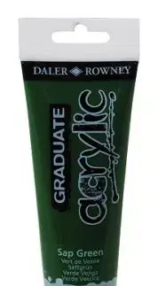 D&R Graduate akrylová farba Sap Green 120 ml