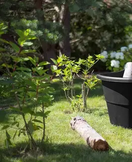 KETER Vozík CASUAL BREEZE 50 L | čierna