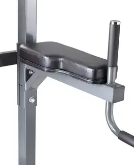 inSPORTline Power Tower PT300
