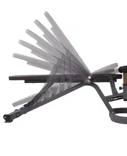 inSPORTline Profi Sit up bench