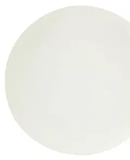 Stropná lampa do kúpeľne s bielym sklom E27 60W 17,5 cm Nina