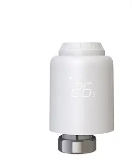 Tellur WiFi Smart Thermostat TLL331441