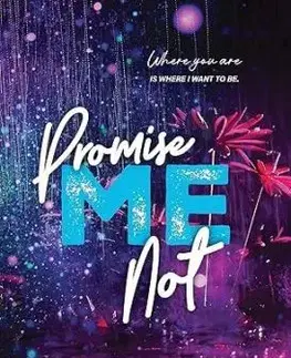 Promise Me Not - Meagan Brandy