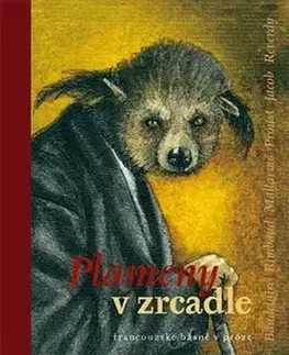 Plameny v zrcadle - Zdeněk Hron