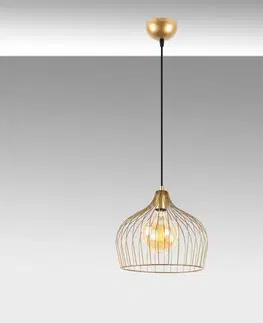Luster Bek - 11371