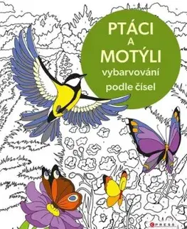 Vybarvování podle čísel: Ptáci a motýli