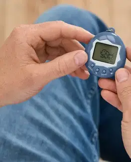 Digitálne domáce zvieratko