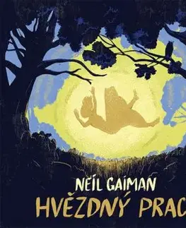 Hvězdný prach (audiokniha) - Neil Gaiman