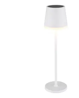 Globo 36637W