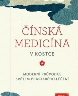 Čínská medicína v kostce - Misha Ruth Cohen