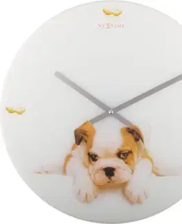 Hodiny na stenu Puppy Nextime 43cm