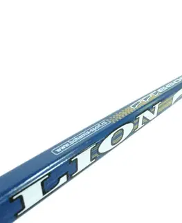 LION LION 6600 pravá