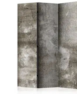 Paraván Cold Concrete Dekorhome