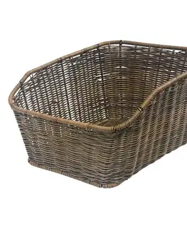 Kellys Rattan Rear 021