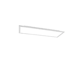 Oceľové stropné svietidlo 80 cm vrátane LED s diaľkovým ovládaním - Live