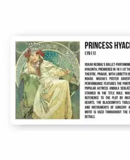 Magnetka Mucha: Ivy