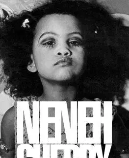 A Thousand Threads - Neneh Cherry